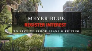 Meyer-Blue-Showflat